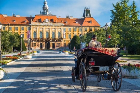 Prenociste Sana Sombor Daire Dış mekan fotoğraf